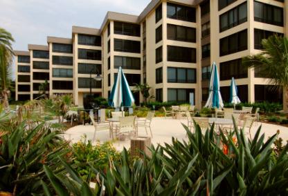 Island Reef  Siesta Key